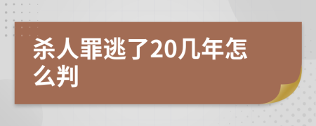 杀人罪逃了20几年怎么判