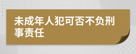 未成年人犯可否不负刑事责任