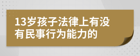 13岁孩子法律上有没有民事行为能力的