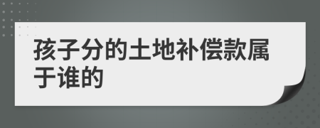 孩子分的土地补偿款属于谁的