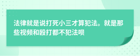 法律就是说打死小三才算犯法。就是那些视频和殴打都不犯法呗