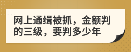 网上通缉被抓，金额判的三级，要判多少年