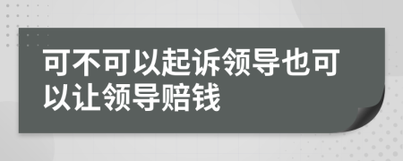 可不可以起诉领导也可以让领导赔钱