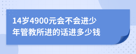 14岁4900元会不会进少年管教所进的话进多少钱