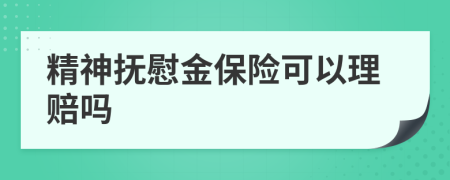 精神抚慰金保险可以理赔吗