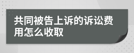 共同被告上诉的诉讼费用怎么收取