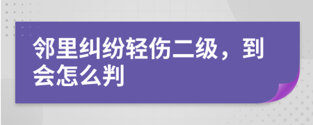 邻里纠纷轻伤二级，到会怎么判