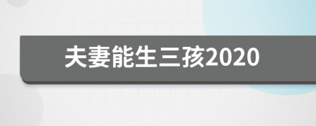 夫妻能生三孩2020