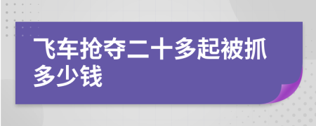 飞车抢夺二十多起被抓多少钱