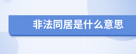 非法同居是什么意思