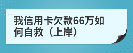 我信用卡欠款66万如何自救（上岸）