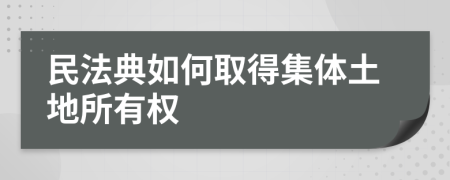 民法典如何取得集体土地所有权