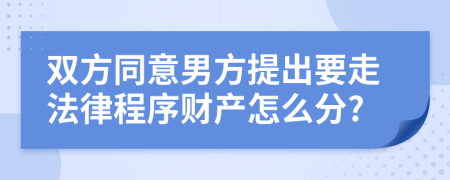 双方同意男方提出要走法律程序财产怎么分?