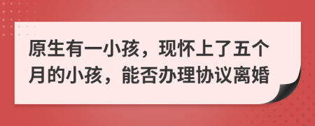原生有一小孩，现怀上了五个月的小孩，能否办理协议离婚
