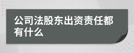 公司法股东出资责任都有什么