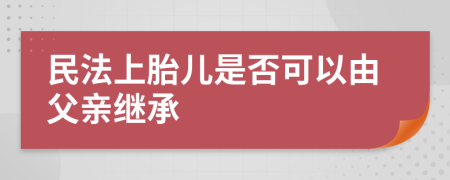 民法上胎儿是否可以由父亲继承