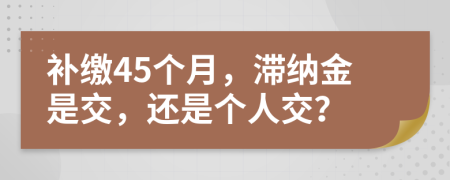 补缴45个月，滞纳金是交，还是个人交？