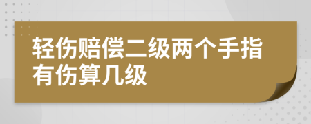 轻伤赔偿二级两个手指有伤算几级