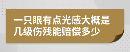 一只眼有点光感大概是几级伤残能赔偿多少