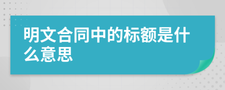 明文合同中的标额是什么意思