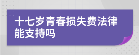 十七岁青春损失费法律能支持吗