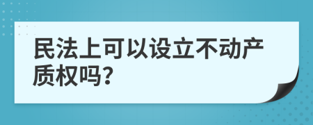 民法上可以设立不动产质权吗？