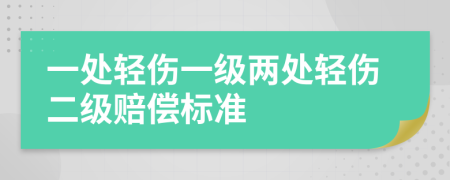 一处轻伤一级两处轻伤二级赔偿标准