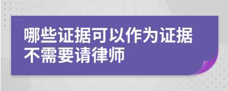 哪些证据可以作为证据不需要请律师