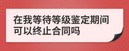 在我等待等级鉴定期间可以终止合同吗