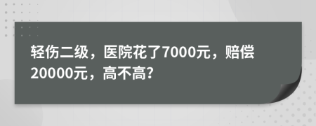 轻伤二级，医院花了7000元，赔偿20000元，高不高？