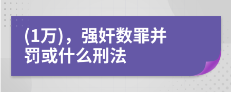 (1万)，强奸数罪并罚或什么刑法