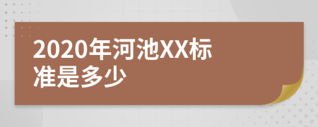 2020年河池XX标准是多少