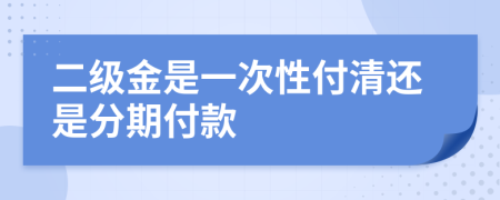 二级金是一次性付清还是分期付款