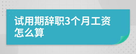 试用期辞职3个月工资怎么算