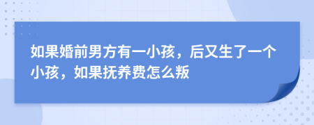 如果婚前男方有一小孩，后又生了一个小孩，如果抚养费怎么叛