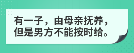 有一子，由母亲抚养，但是男方不能按时给。