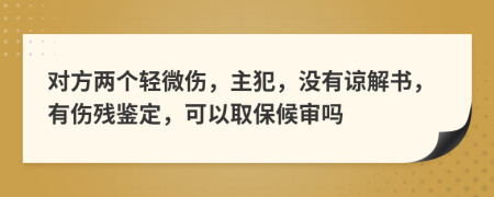 对方两个轻微伤，主犯，没有谅解书，有伤残鉴定，可以取保候审吗