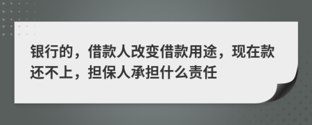 银行的，借款人改变借款用途，现在款还不上，担保人承担什么责任