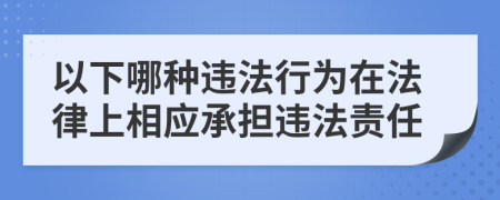 以下哪种违法行为在法律上相应承担违法责任