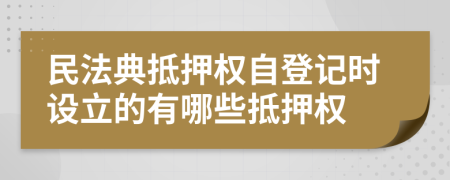 民法典抵押权自登记时设立的有哪些抵押权