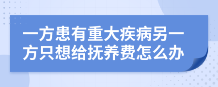 一方患有重大疾病另一方只想给抚养费怎么办