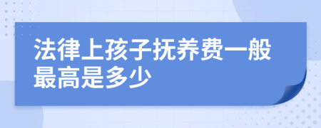 法律上孩子抚养费一般最高是多少