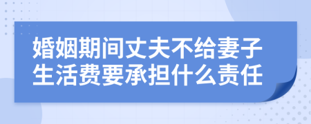 婚姻期间丈夫不给妻子生活费要承担什么责任