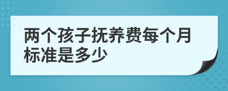 两个孩子抚养费每个月标准是多少