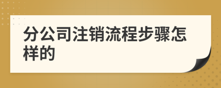 分公司注销流程步骤怎样的