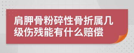 肩胛骨粉碎性骨折属几级伤残能有什么赔偿