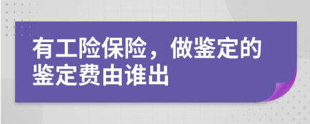 有工险保险，做鉴定的鉴定费由谁出