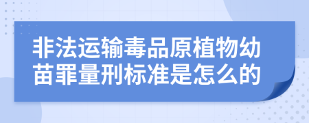 非法运输毒品原植物幼苗罪量刑标准是怎么的