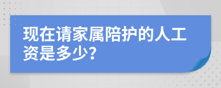 现在请家属陪护的人工资是多少？