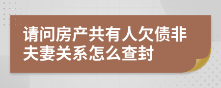 请问房产共有人欠债非夫妻关系怎么查封